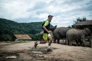 BIB: 
                            <button type="button" onclick="openModal(22423448)" class="btn btn-primary btn-sm float-right btn-popup" data-toggle="modal" data-target=".modal-high-quality">
                        <i class="fas fa-shopping-cart"></i> Add to Cart
                    </button>
                                            <button type="button" onclick="isThisMe(22423448, true)" class="btn btn-success btn-sm float-right btn-popup btn-isme hidden" data-toggle="tooltip" data-placement="bottom" title="นี่คือรูปของคุณใช่ไหม คลิกที่นี่เพื่อเอาเข้าอัลบั้ม">
                        <i class="fas fa-plus"></i> Add to album
                    </button>
                    <button type="button" onclick="isThisMe(22423448, false)" class="btn btn-warning btn-sm float-right btn-popup btn-isnotme hidden">
                        <i class="fas fa-ban"></i> Remove from album
                    </button>